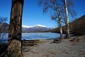 Lago Piccolo di Avigliana ghiacciato_103